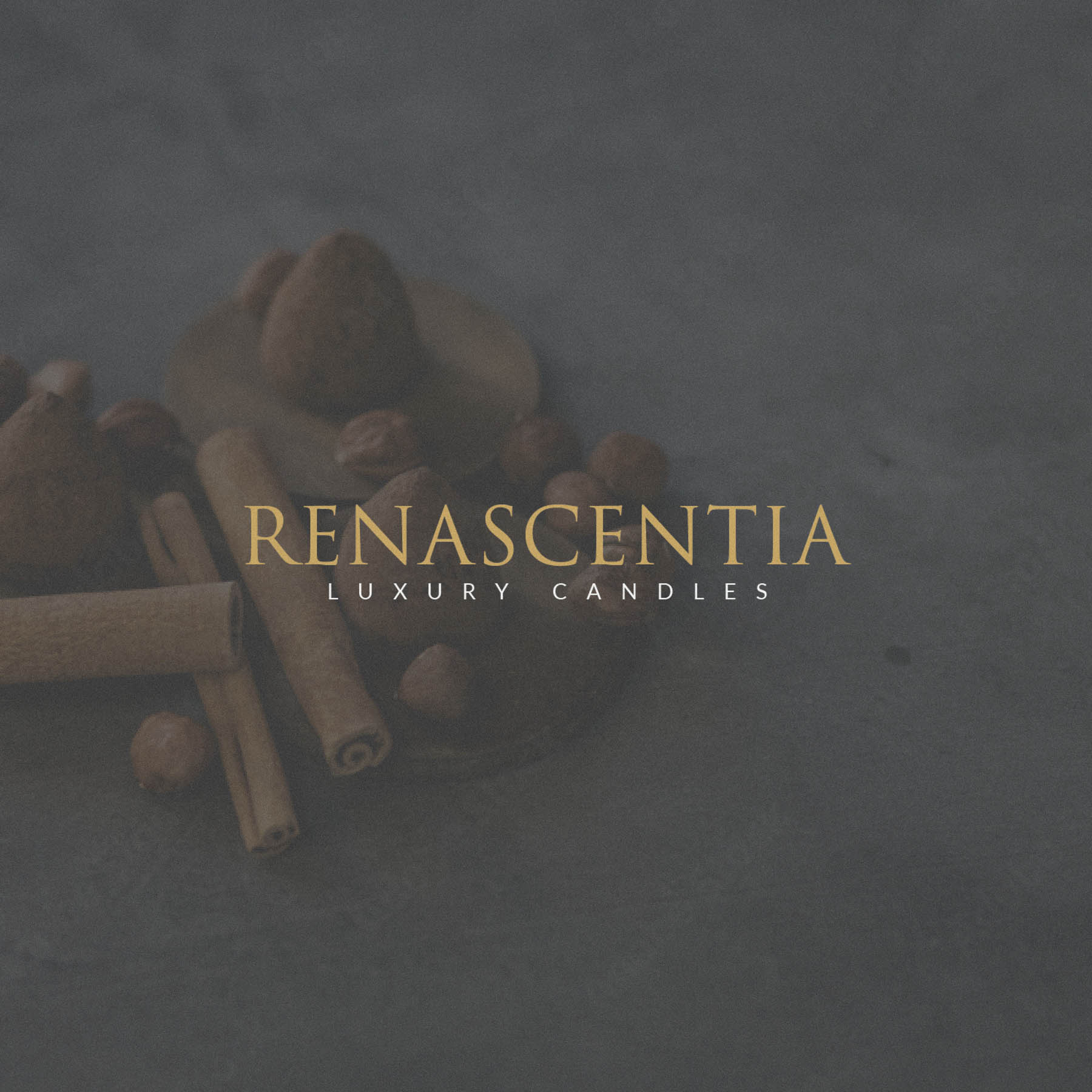 Renascentia luxury candle brand identity logo design london3