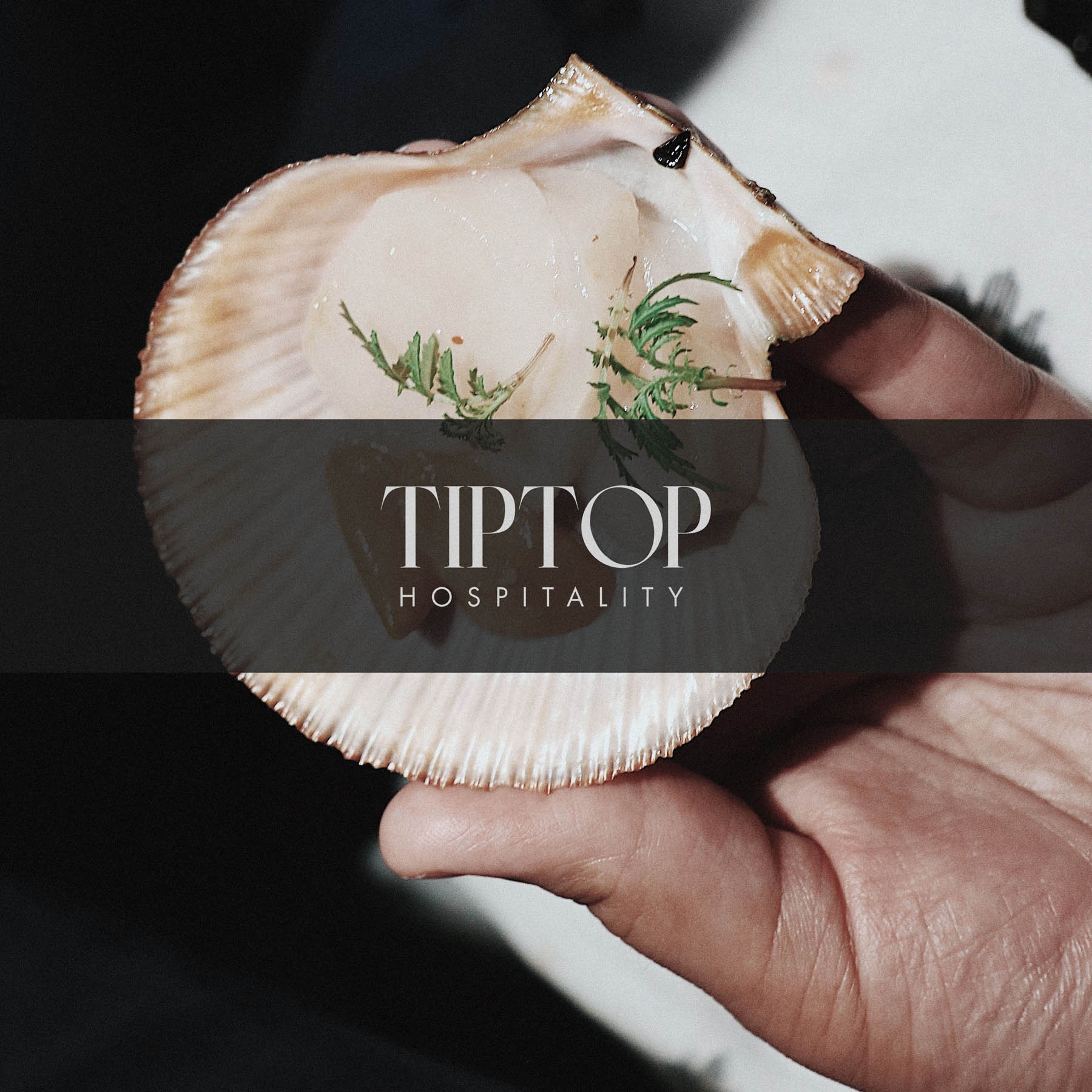 Tip Top Hospitality Brand Luxury Logo High End Events7