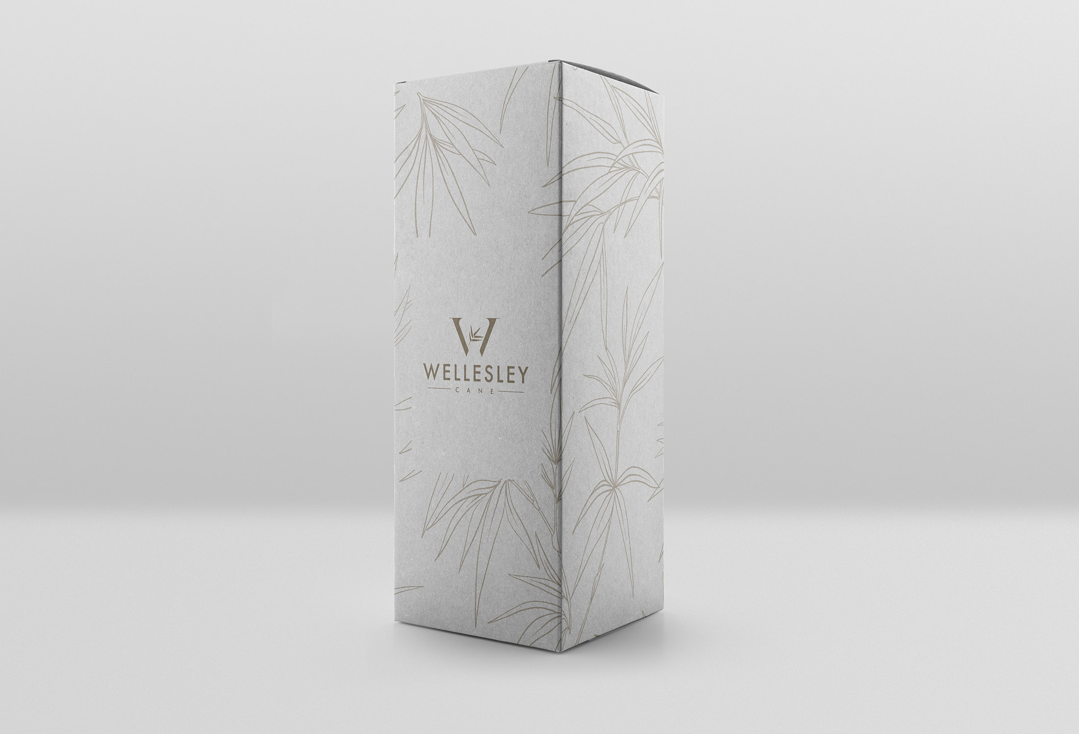 Wellesley Packaging Design Project