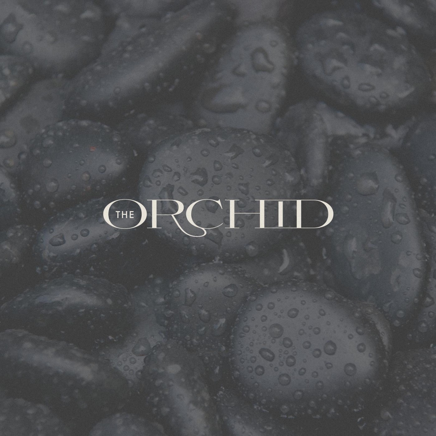 Orchid-Luxury-Elegant-Brand-Identity-Branding01