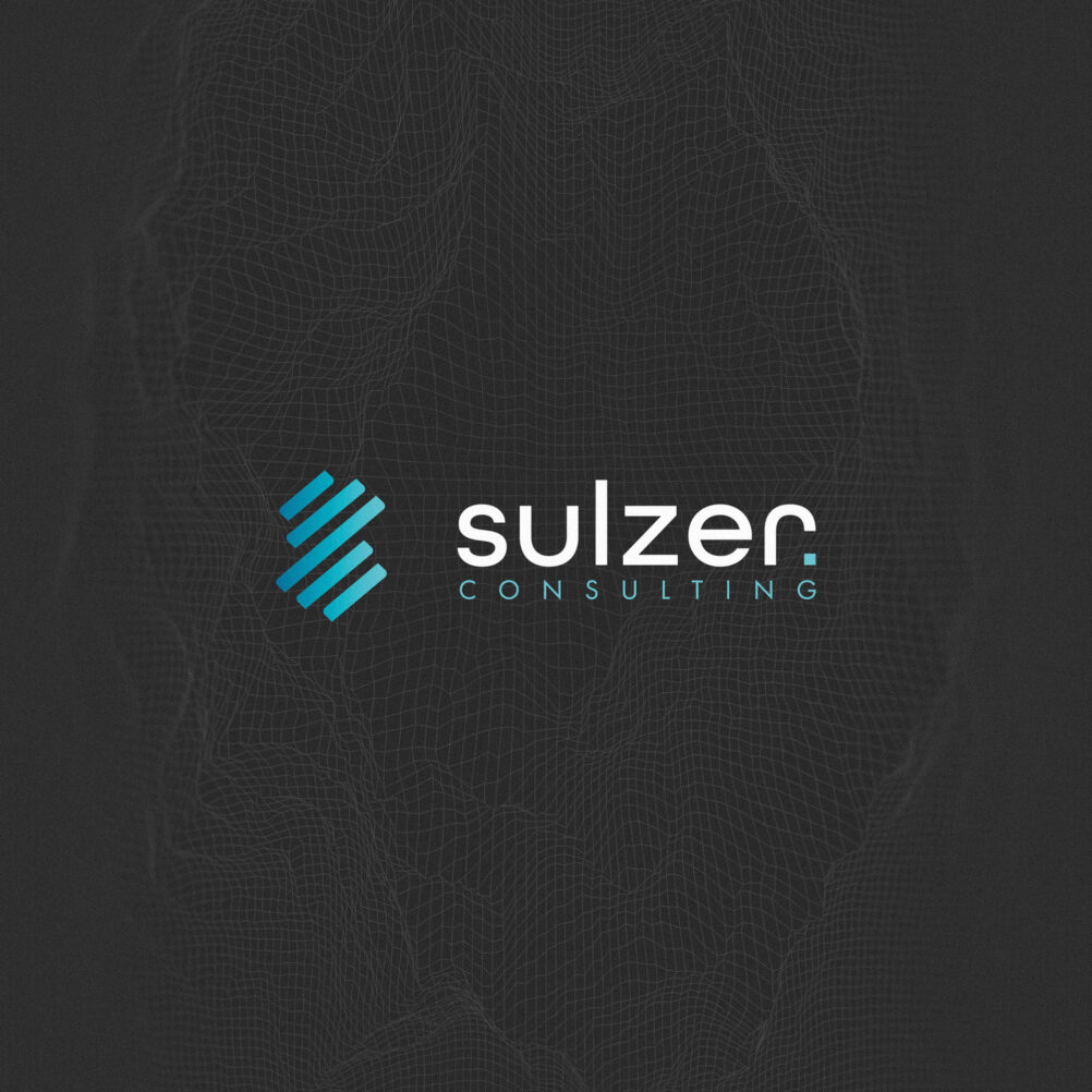 high end it consultant brand identity design 1