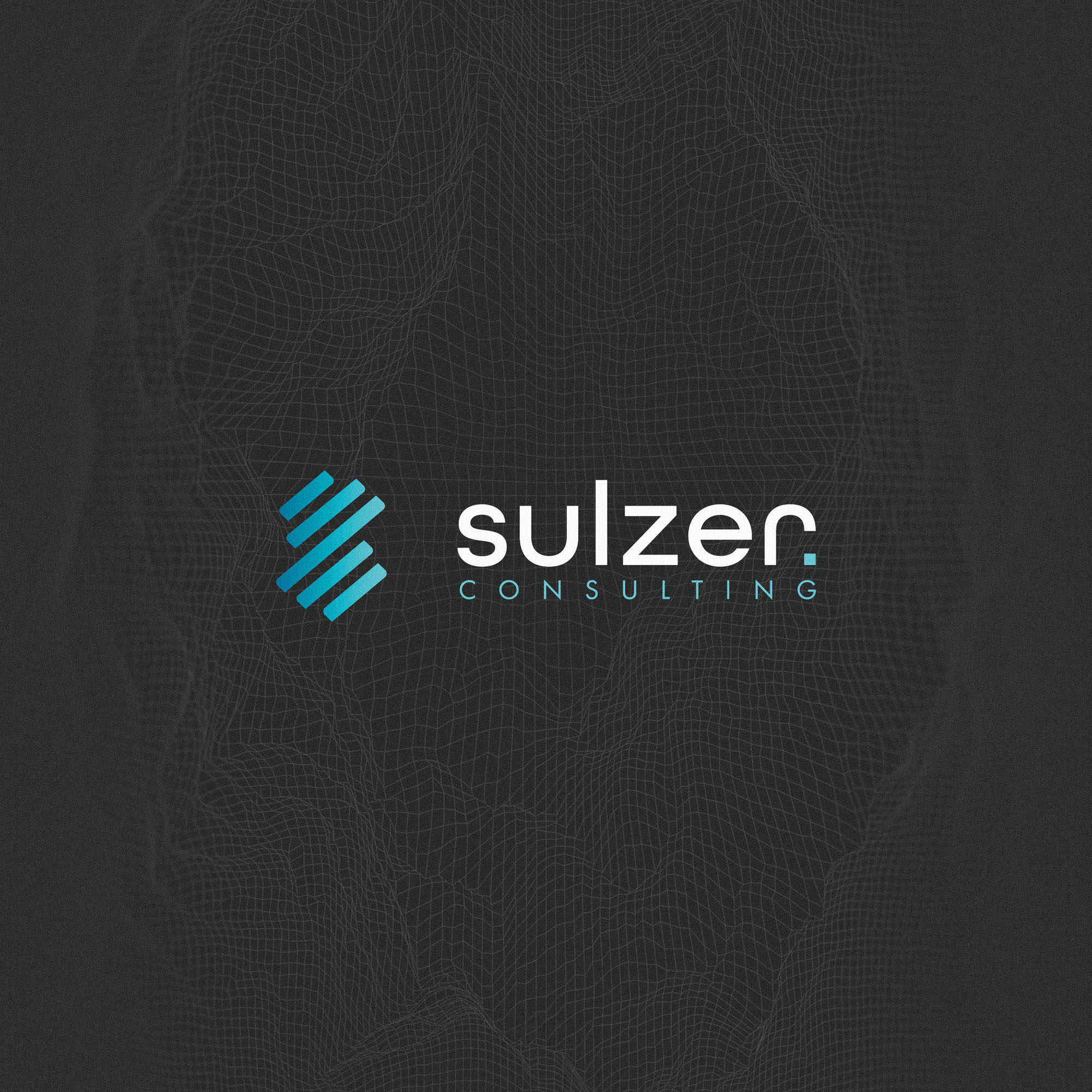 high end it consultant brand identity design 1