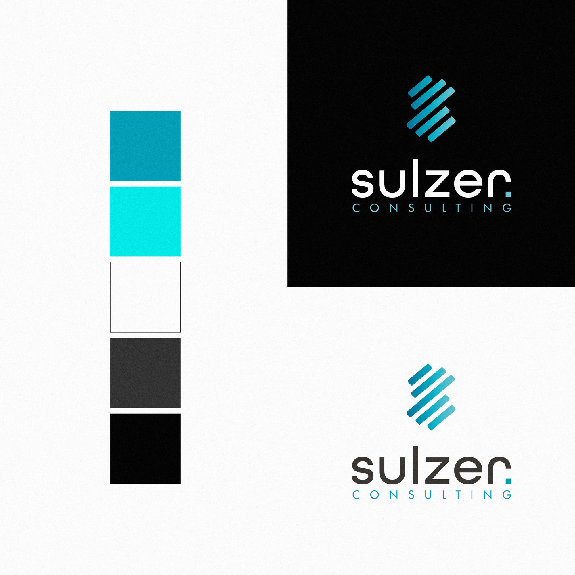 high end it consultant brand identity design 1