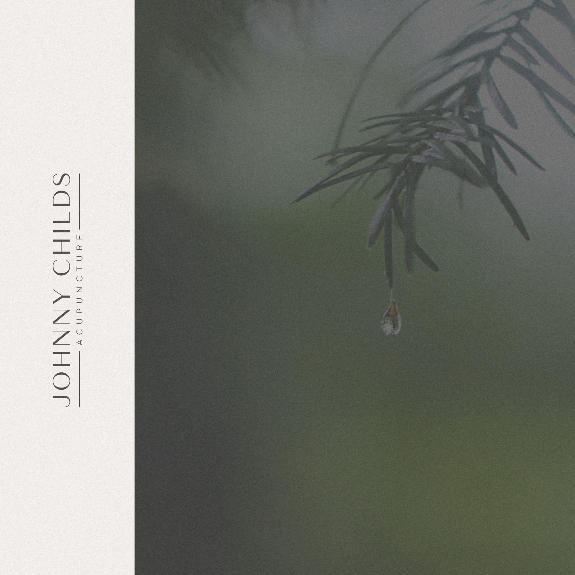 editorial luxury acupunture brand identity - quiet luxury