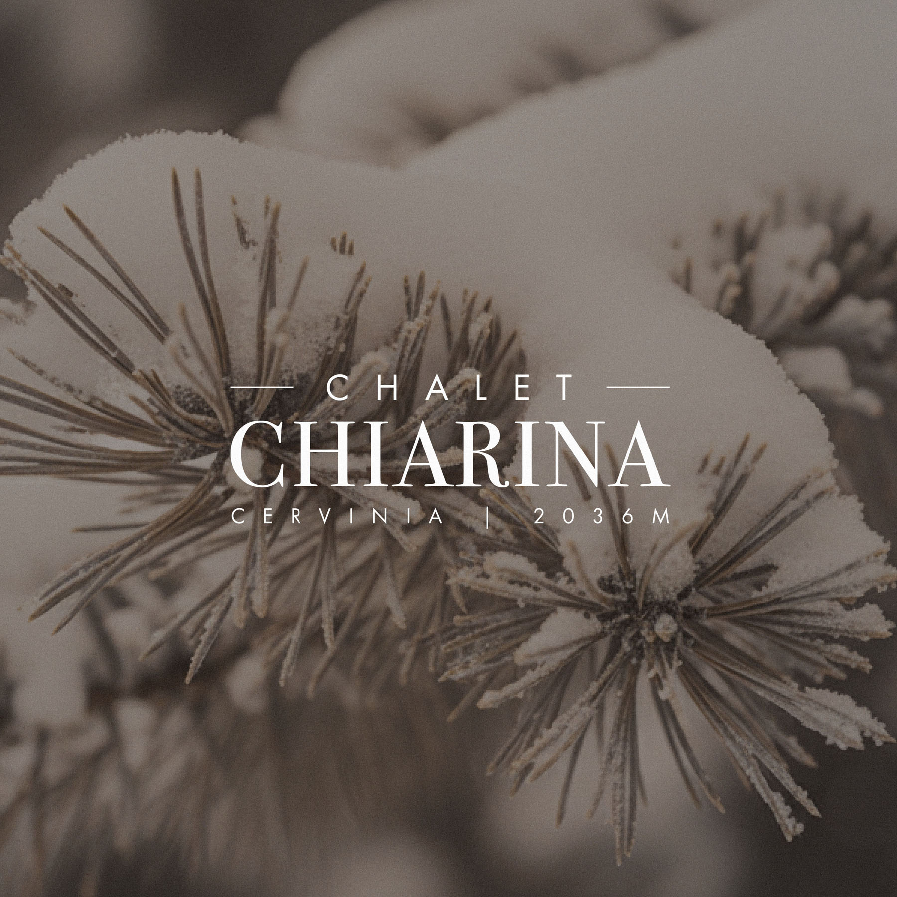 luxury chalet cervinia brand identity design